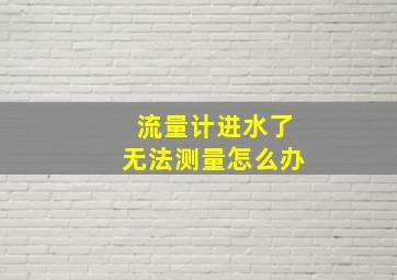 流量计进水了无法测量怎么办