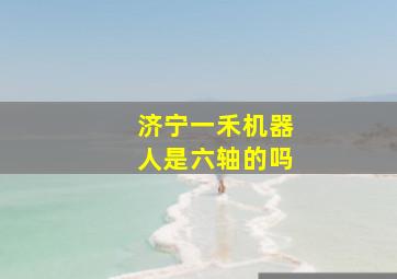 济宁一禾机器人是六轴的吗