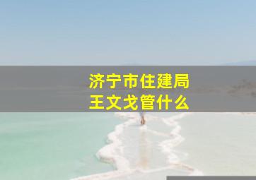 济宁市住建局王文戈管什么