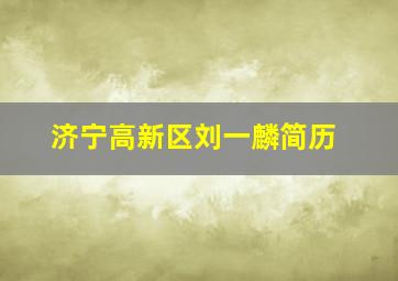 济宁高新区刘一麟简历