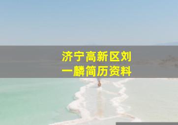 济宁高新区刘一麟简历资料