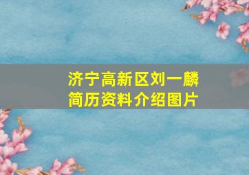 济宁高新区刘一麟简历资料介绍图片