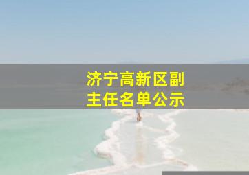 济宁高新区副主任名单公示