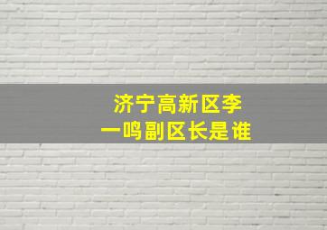 济宁高新区李一鸣副区长是谁