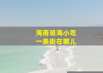 海南琼海小吃一条街在哪儿