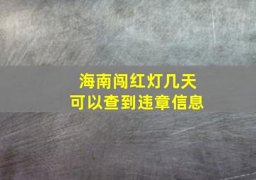 海南闯红灯几天可以查到违章信息