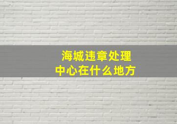 海城违章处理中心在什么地方