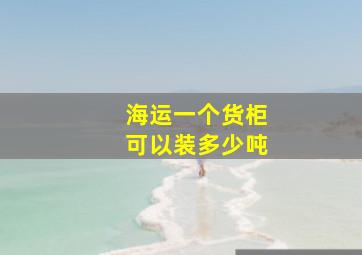 海运一个货柜可以装多少吨