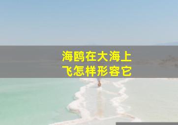 海鸥在大海上飞怎样形容它