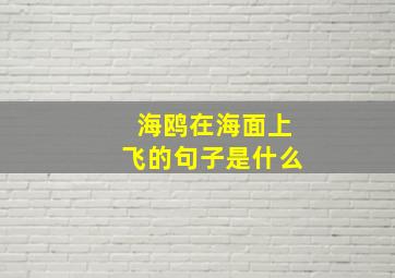 海鸥在海面上飞的句子是什么