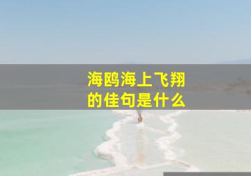 海鸥海上飞翔的佳句是什么