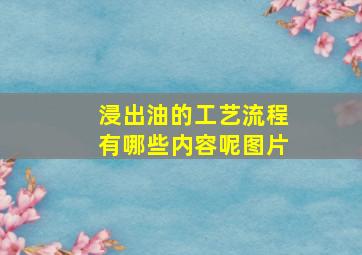 浸出油的工艺流程有哪些内容呢图片