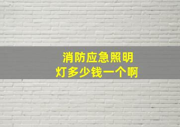 消防应急照明灯多少钱一个啊