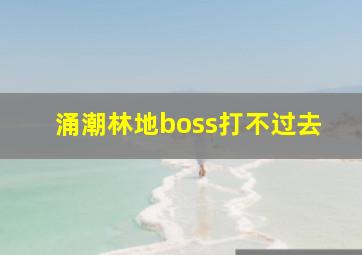 涌潮林地boss打不过去