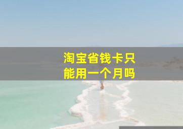 淘宝省钱卡只能用一个月吗