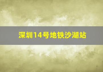 深圳14号地铁沙湖站