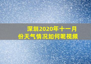 深圳2020年十一月份天气情况如何呢视频