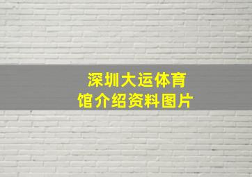 深圳大运体育馆介绍资料图片