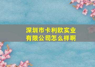 深圳市卡利欧实业有限公司怎么样啊