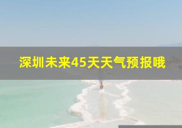 深圳未来45天天气预报哦