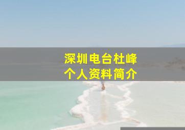 深圳电台杜峰个人资料简介