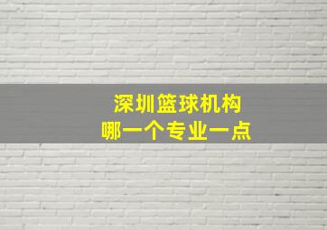 深圳篮球机构哪一个专业一点