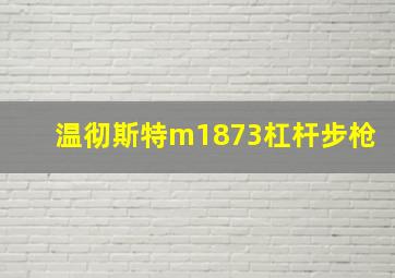 温彻斯特m1873杠杆步枪