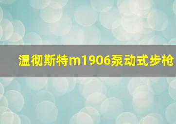 温彻斯特m1906泵动式步枪