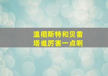 温彻斯特和贝雷塔谁厉害一点啊