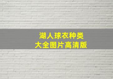 湖人球衣种类大全图片高清版