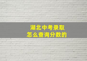 湖北中考录取怎么查询分数的