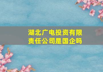 湖北广电投资有限责任公司是国企吗