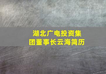 湖北广电投资集团董事长云海简历