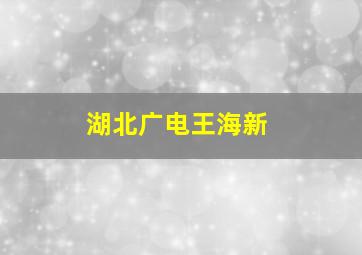 湖北广电王海新