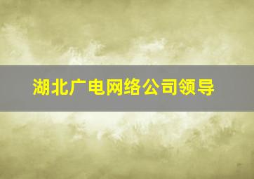 湖北广电网络公司领导