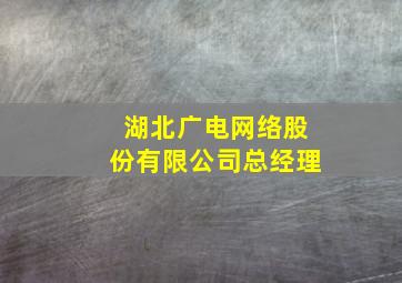 湖北广电网络股份有限公司总经理