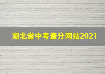 湖北省中考查分网站2021