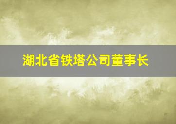 湖北省铁塔公司董事长