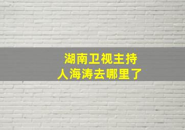 湖南卫视主持人海涛去哪里了