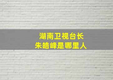 湖南卫视台长朱皓峰是哪里人