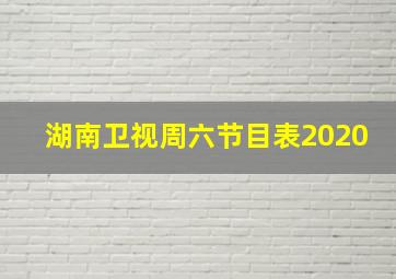 湖南卫视周六节目表2020