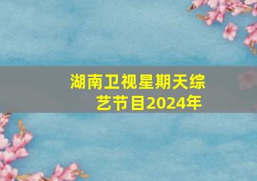 湖南卫视星期天综艺节目2024年