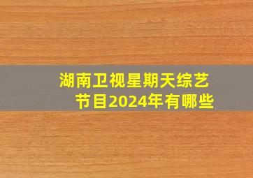 湖南卫视星期天综艺节目2024年有哪些