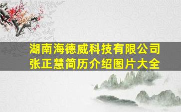 湖南海德威科技有限公司张正慧简历介绍图片大全