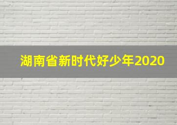 湖南省新时代好少年2020