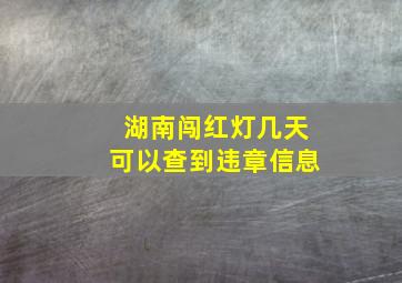 湖南闯红灯几天可以查到违章信息