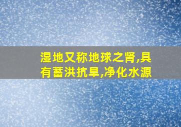 湿地又称地球之肾,具有蓄洪抗旱,净化水源