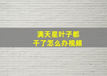 满天星叶子都干了怎么办视频