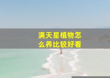 满天星植物怎么养比较好看