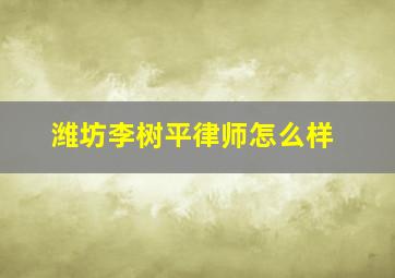 潍坊李树平律师怎么样